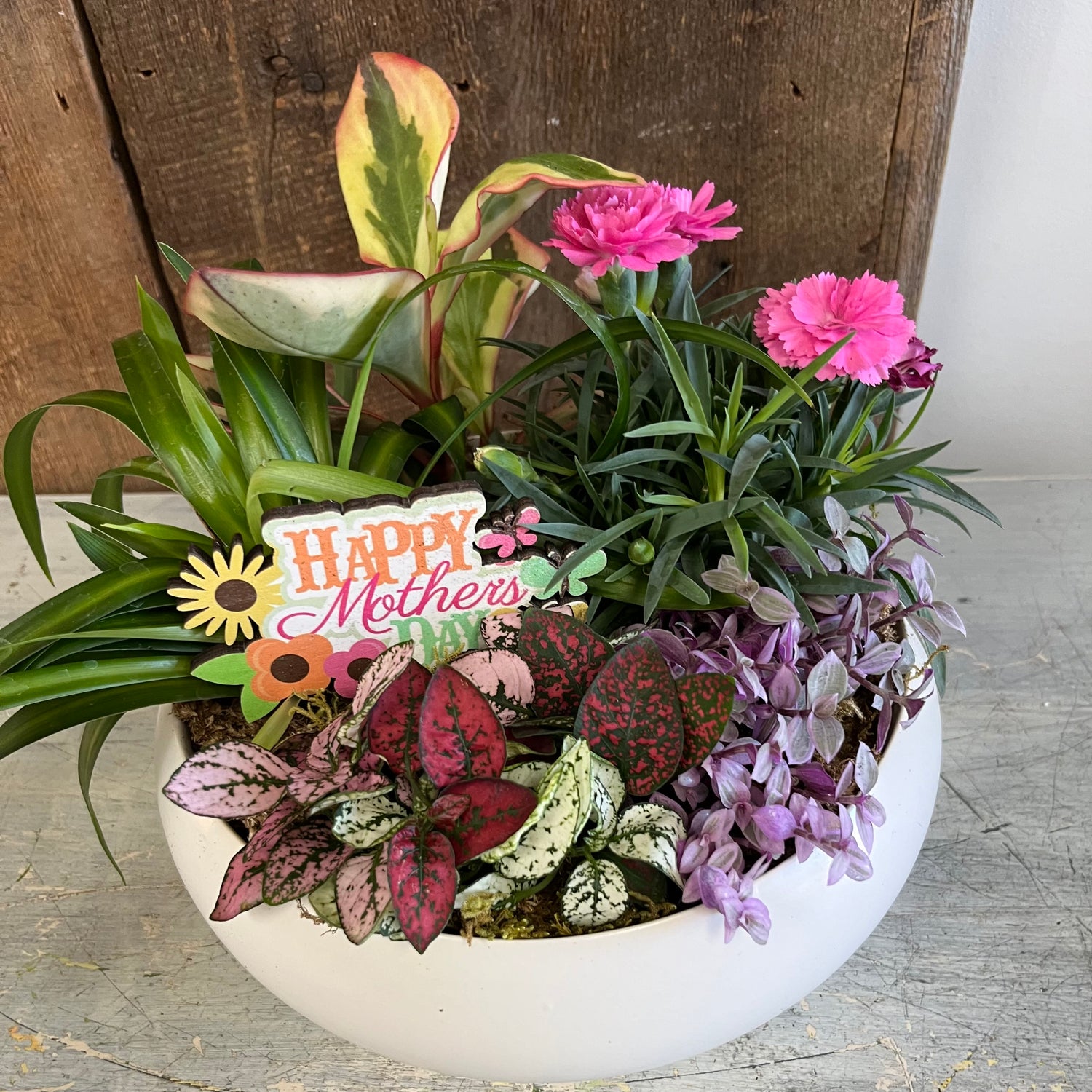 Mother’s Day Carnation Planter (in ceramic dish)