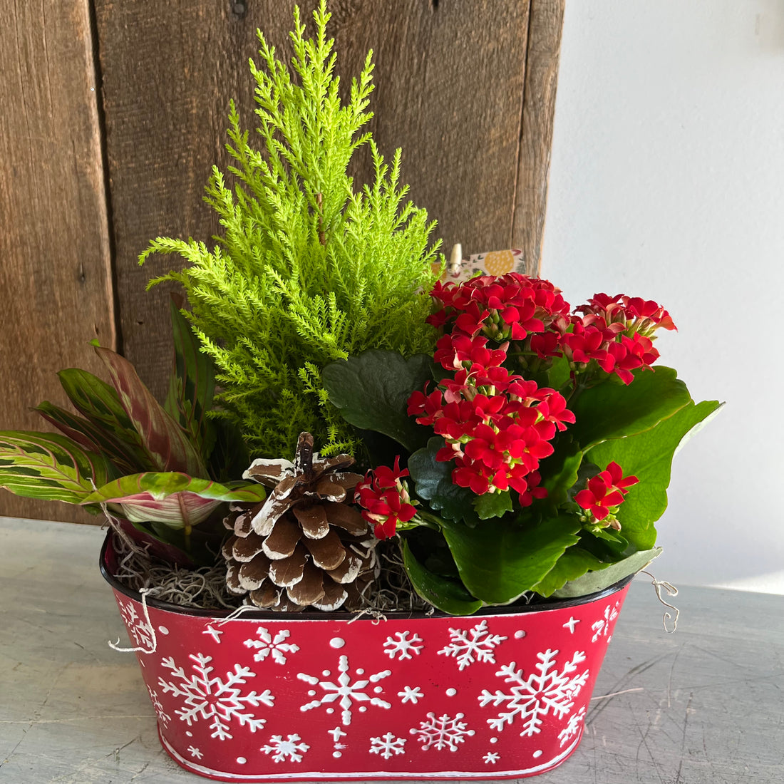 Christmas Planter Gardens