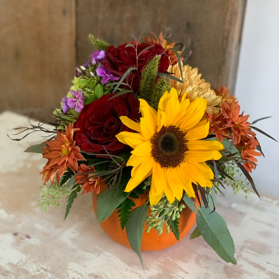 Thanksgiving Pumpkin Centrepiece